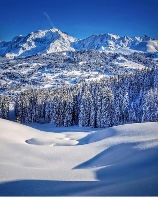 Logement A Megeve Avec Jardin Kültér fotó