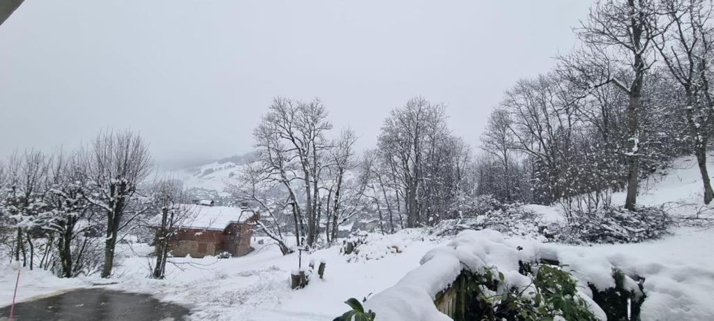 Logement A Megeve Avec Jardin Kültér fotó
